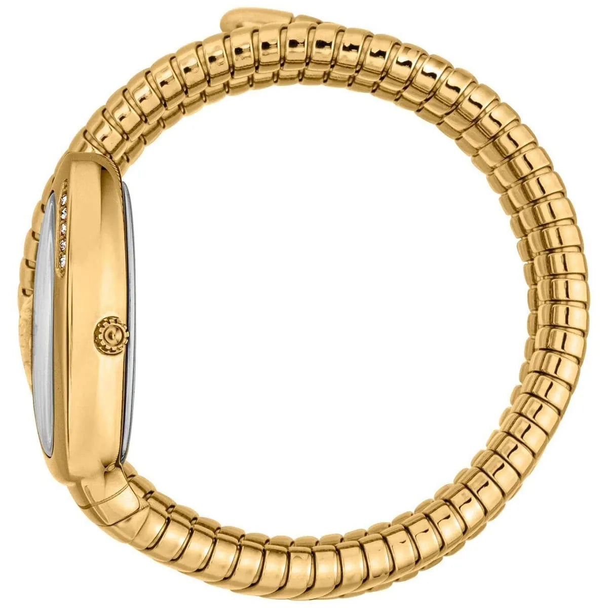 Gold watch with a textured band on a white background